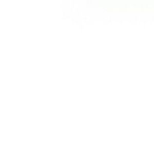 Meet your Posher, Capricornz